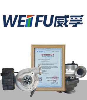 WEIFU 威孚